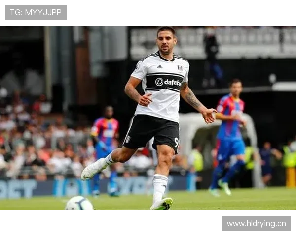 米特罗维奇技术全面性