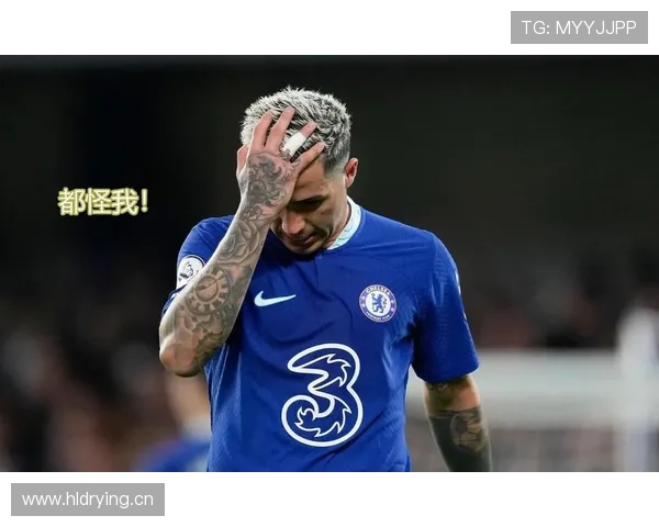 恩佐·费尔南德斯上限解析：能否成为世界级中场