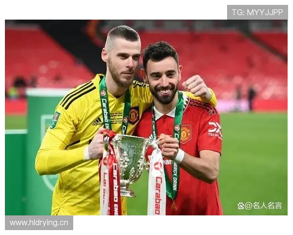 B费 vs C罗:国家队核心作用与战术地位对比 B费 vs C罗:国家队核心作用与战术地位对比